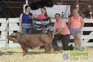 1 3rd Gilt