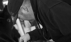 Jeff Paulsen, Paulsen Show Cattle