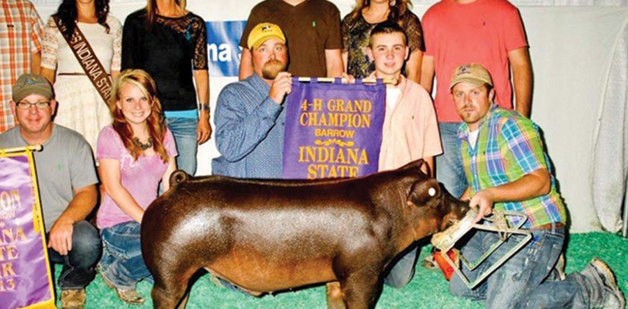 Cole Wilcox, Indiana