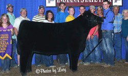 Cole Wilcox, Indiana