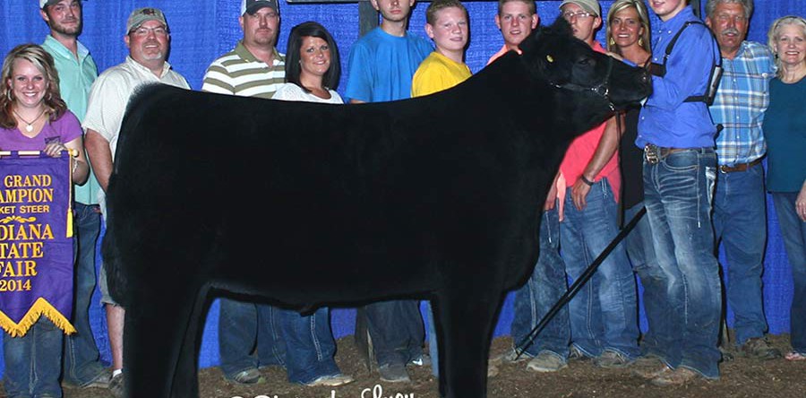 Cole Wilcox, Indiana