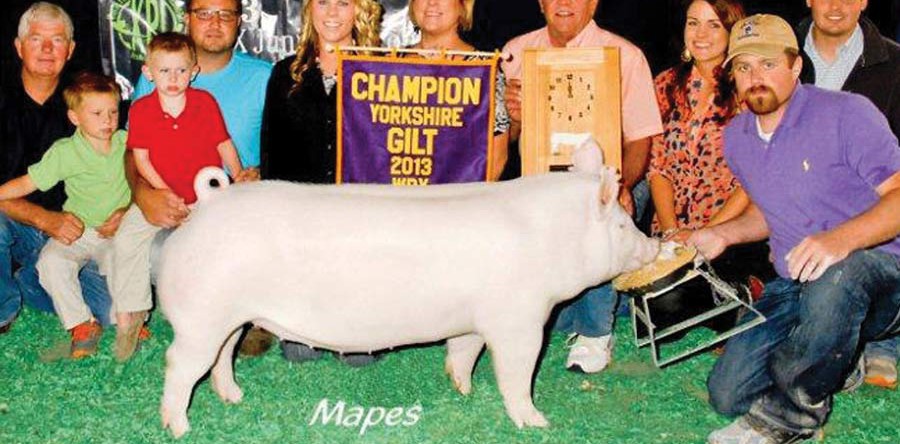 Tanna Simmons, Indiana