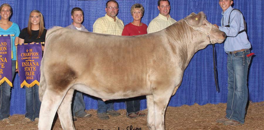 Teegan Brumbaugh, Indiana