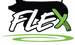 Flex Coming Soon to the CSS Lineup