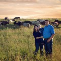 Craig Steck, Steck Cattle