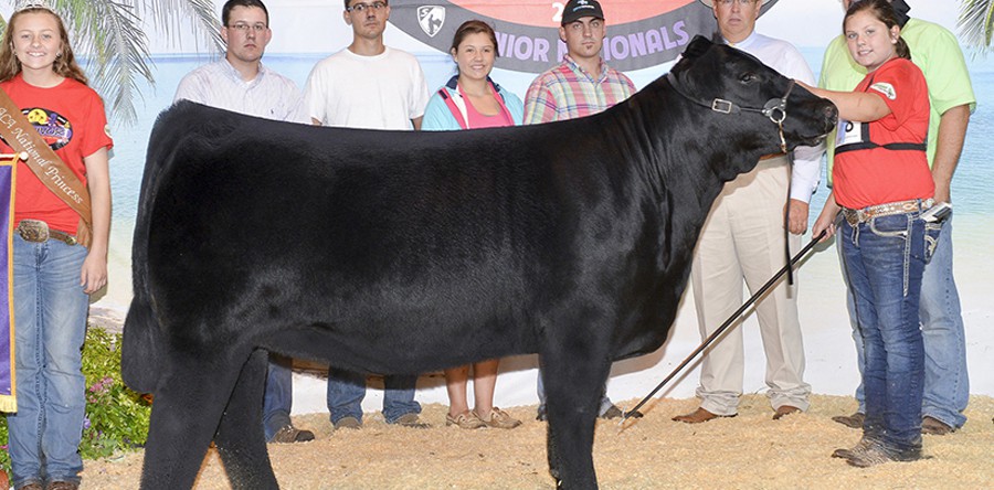 Caitlyn Walker, Arkansas