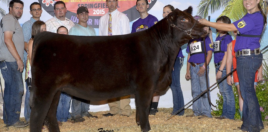 Whitney Walker, Arkansas