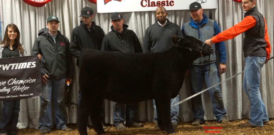 Mason Walker, Arkansas