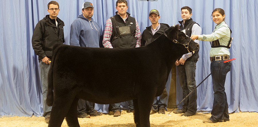 Whitney Walker, Arkansas