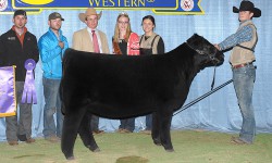 Mason Walker, Arkansas