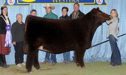 Shayna DeGroot, Minnesota