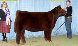 Whitney Walker, Arkansas