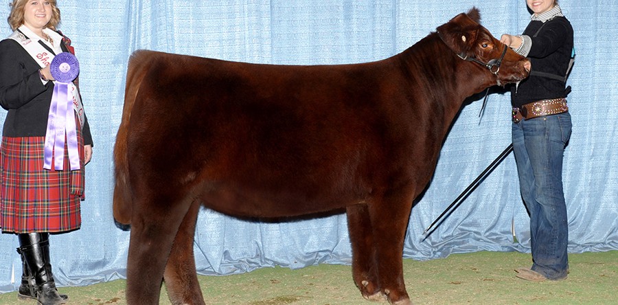 Whitney Walker, Arkansas