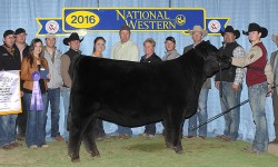 Mason Walker, Arkansas