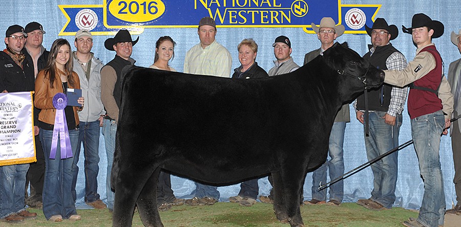 Mason Walker, Arkansas