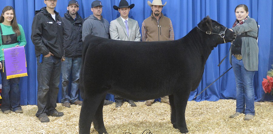 Caitlyn Walker, Arkansas