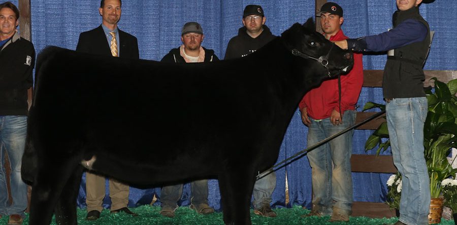 Mason Walker – Arkansas