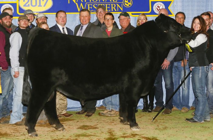 Stertzbach Cattle Co – Ohio