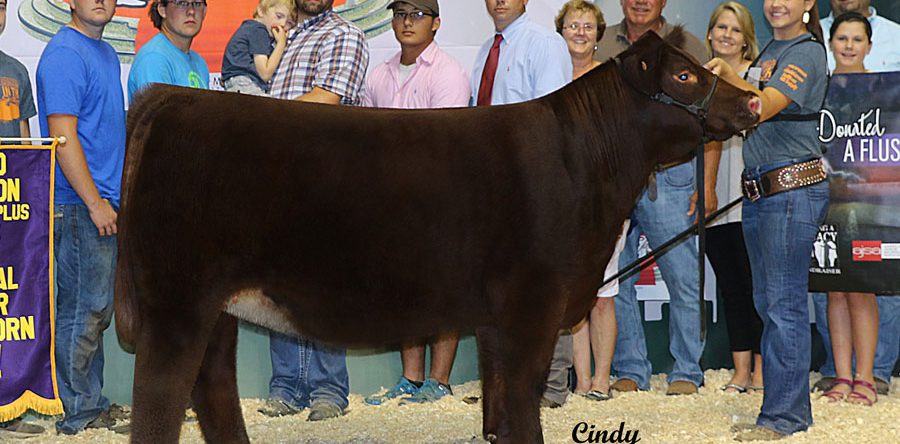 Whitney Walker – Arkansas