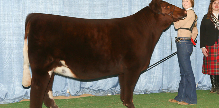 DeGroot Family – Minnesota