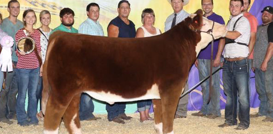 Hunter Weber – Illinois