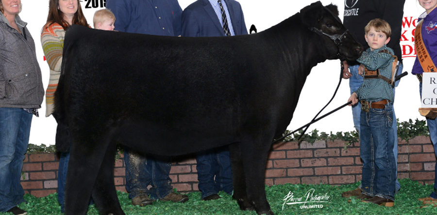 Keagan Steck – Minnesota