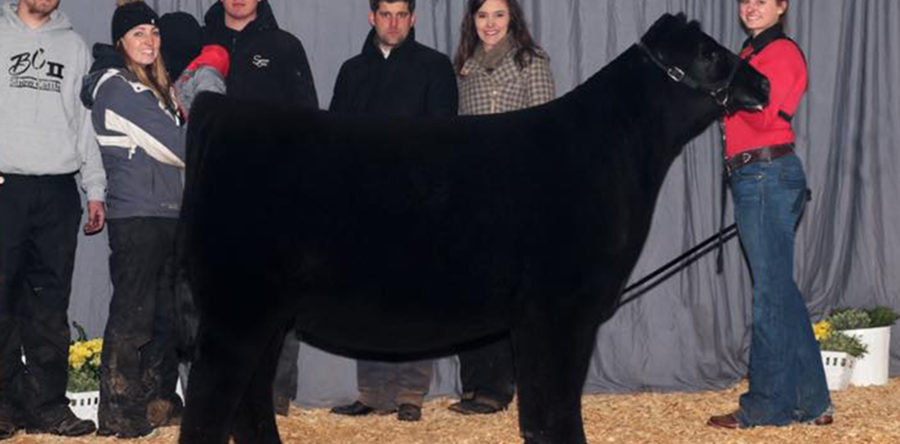 Emily Sennett- Indiana