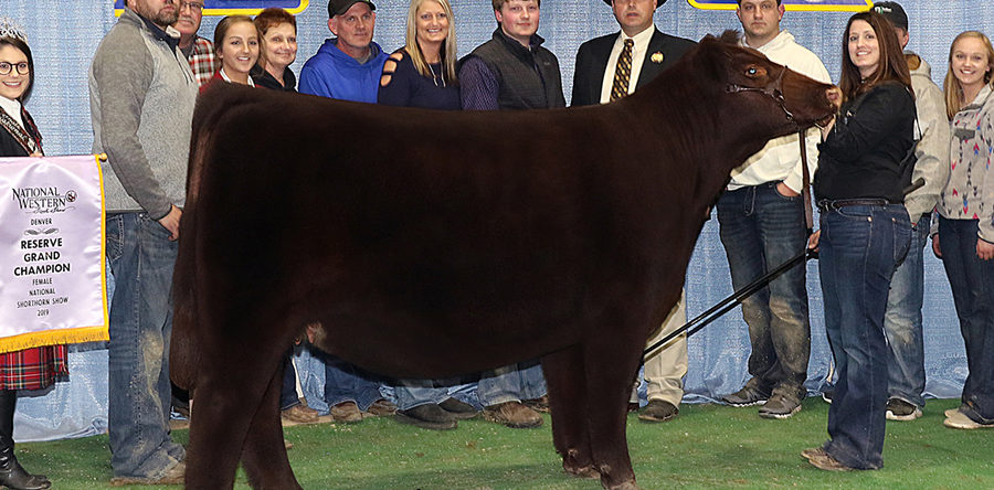 Riley Johnson – Minnesota