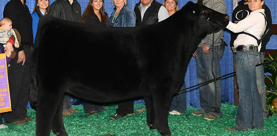 Shelby Stephenson – Indiana