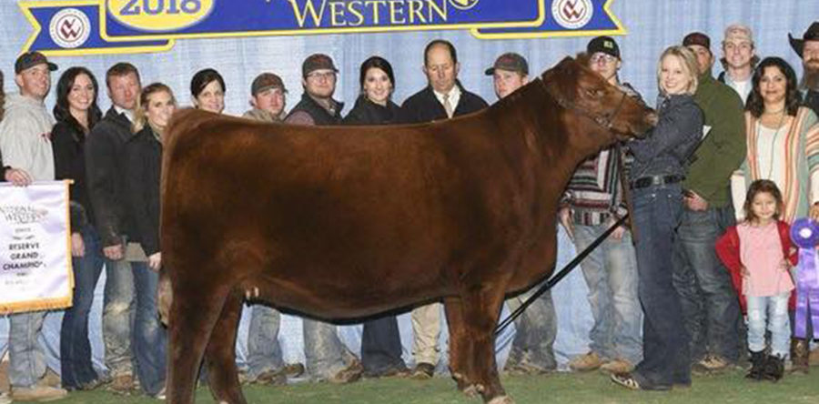 TC Reds – Wisconsin