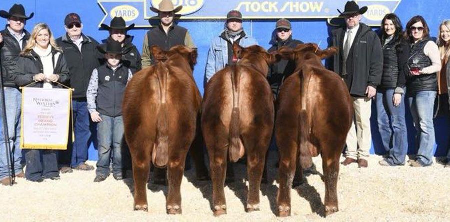 TC Reds – Wisconsin