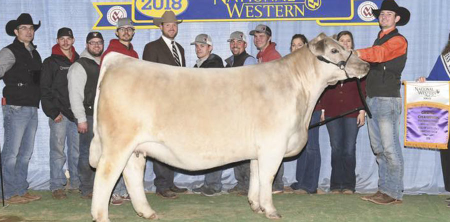 Mason Walker – Arkansas